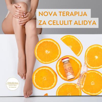 NOVO-Alidya