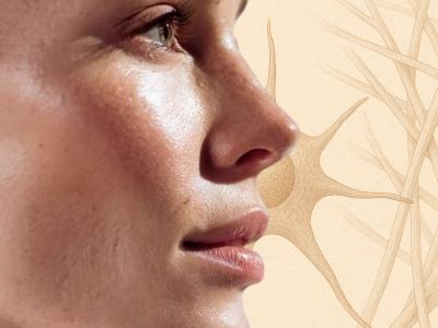 Protokoli za regeneracijo